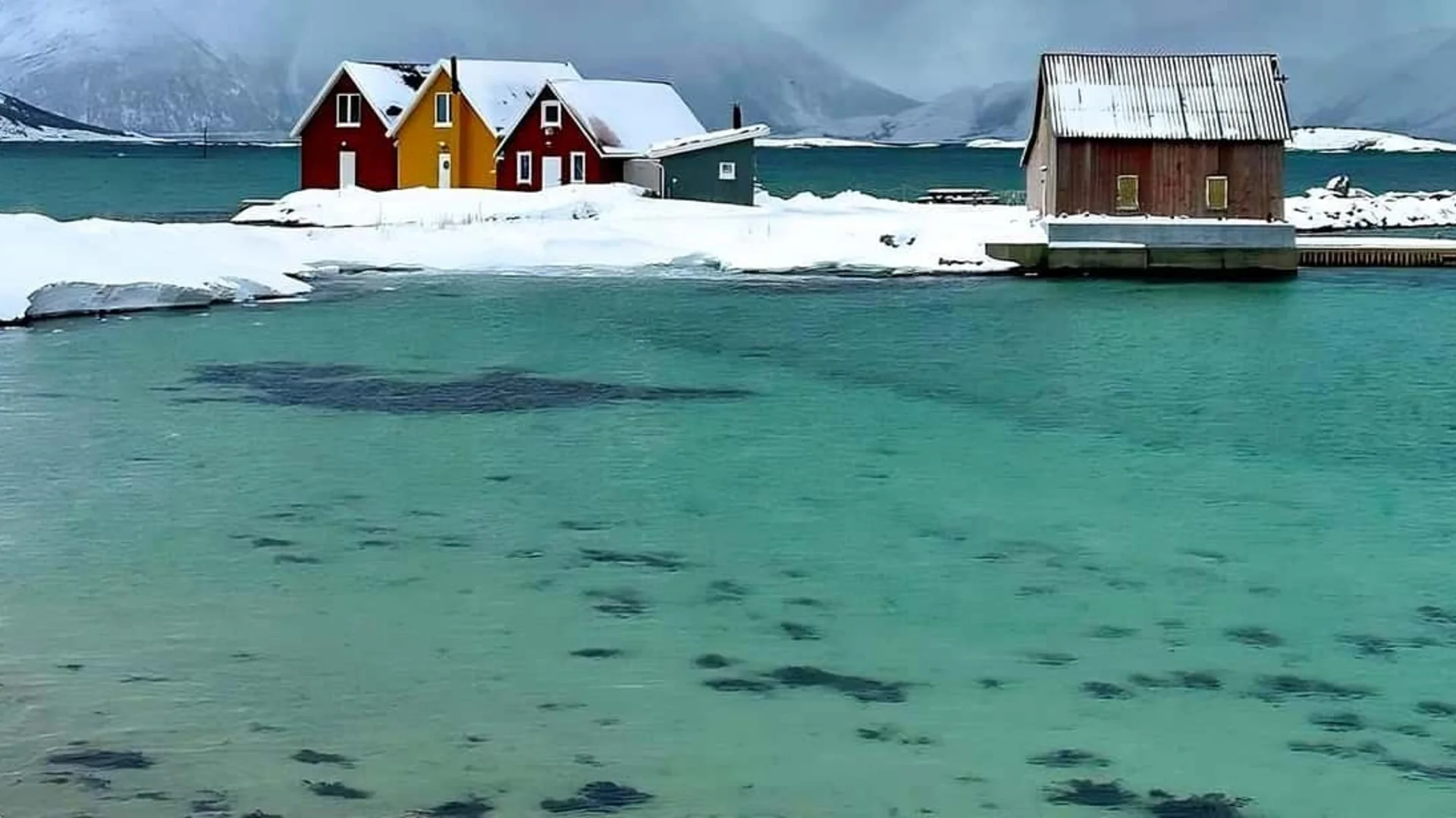 Sommarøy island tour from Tromsø with white sand beach and Arctic fjords