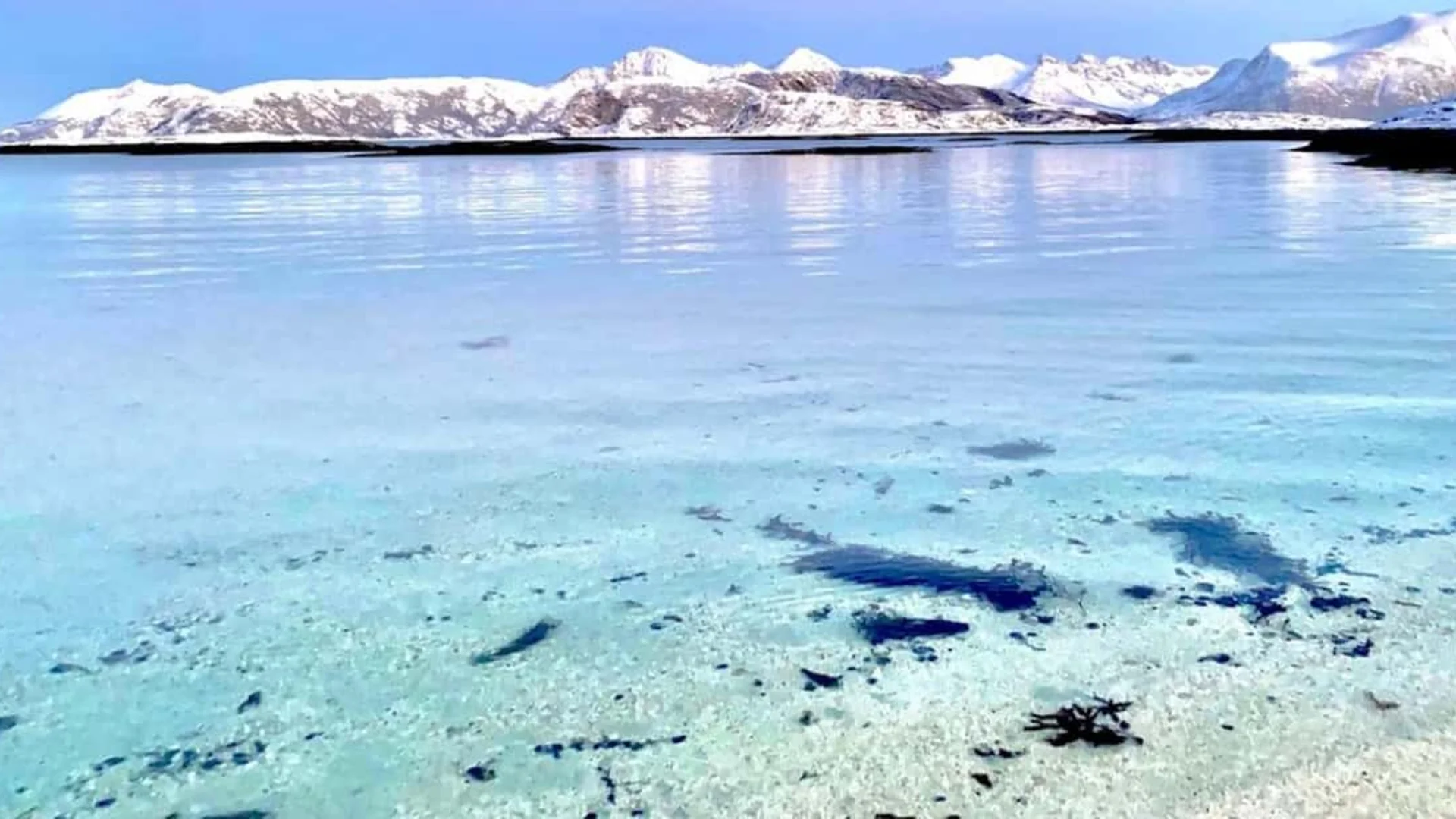 Tromsø fjord tour with Sommarøy white beach