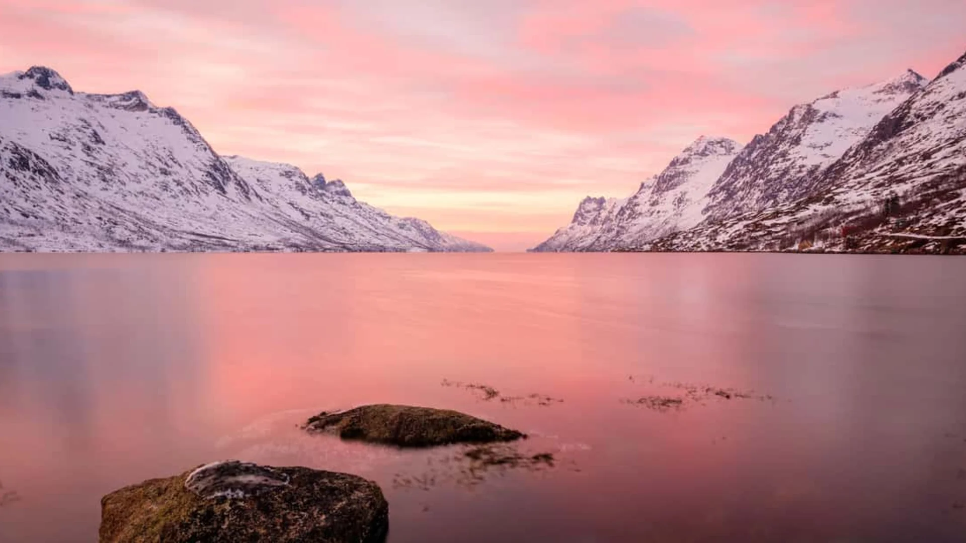 Tromsø Sommarøy tour traditional salmon picnic